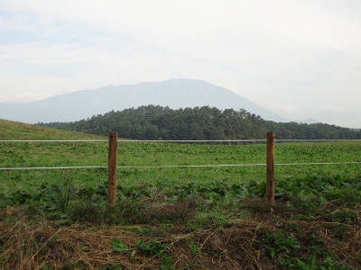 e0137390_1740163.jpg