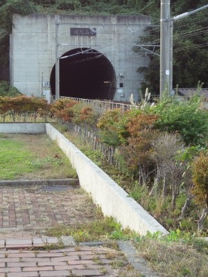 e0137390_18242551.jpg