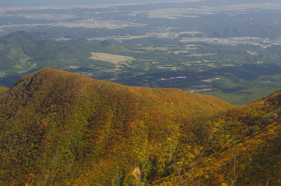 e0206394_22234356.jpg