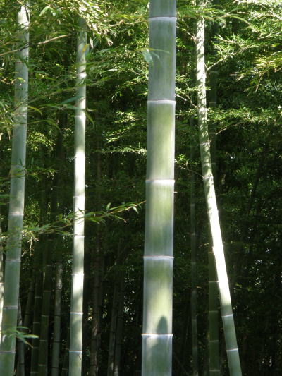 e0017396_0121587.jpg