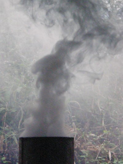 e0017396_0313635.jpg