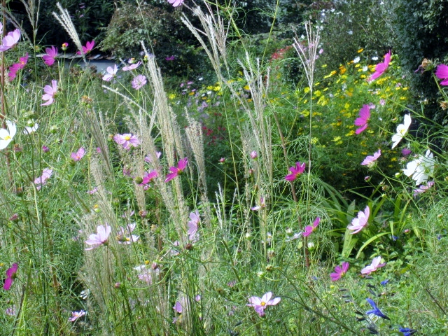 a0075800_1121128.jpg