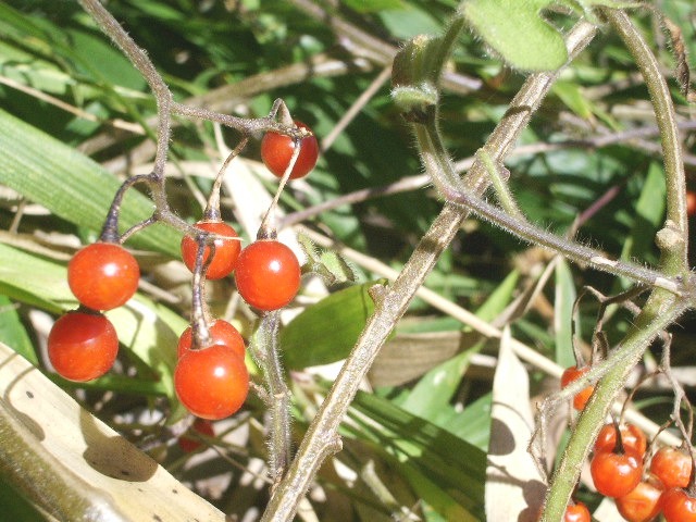 e0025300_14254046.jpg
