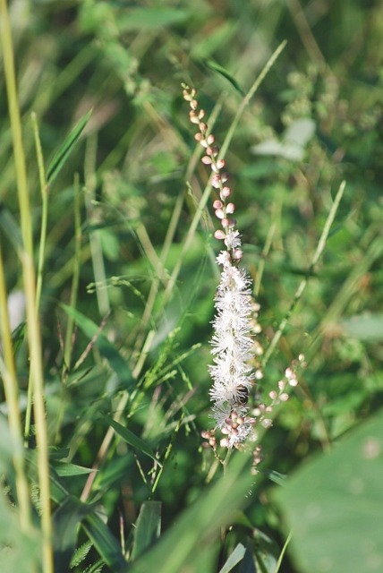 e0025300_17503956.jpg