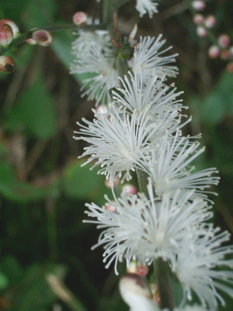 e0025300_17593419.jpg