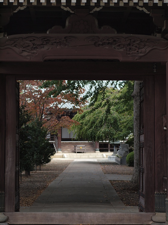 c0187503_171126.jpg