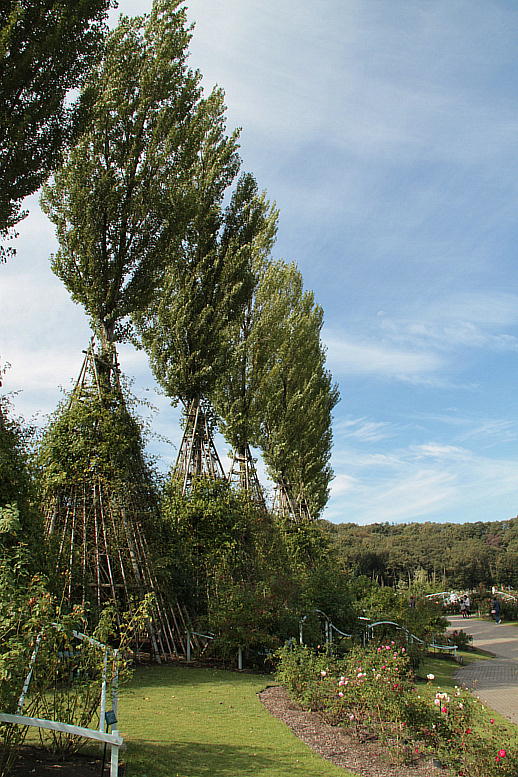 d0166303_23165030.jpg