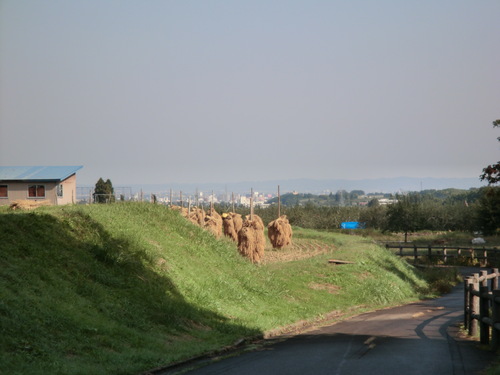 e0242504_19251781.jpg
