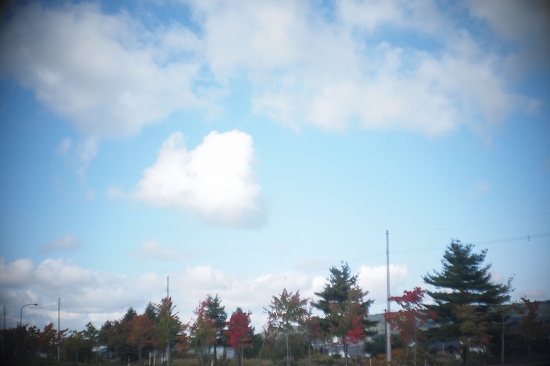 c0202705_19552522.jpg