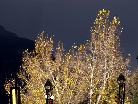 b0051109_8344164.jpg