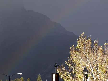 b0051109_8492288.jpg
