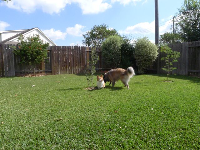 f0227709_1438328.jpg