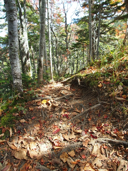 b0244811_0311843.jpg