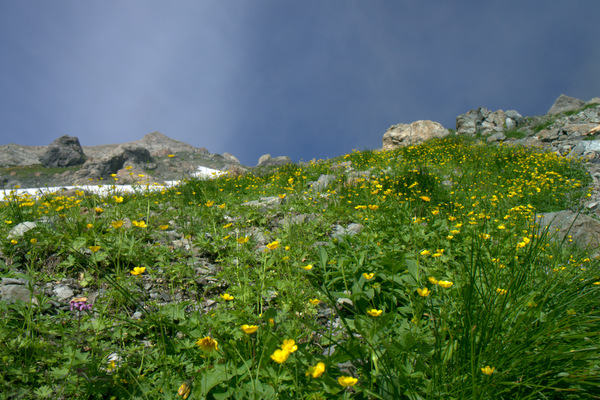 b0244811_23361717.jpg