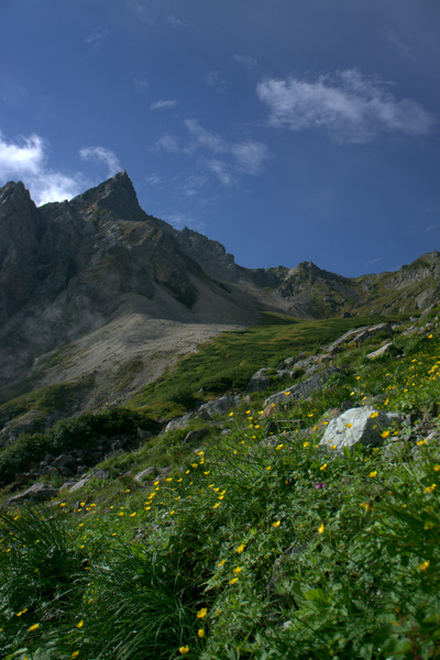 b0244811_2337338.jpg