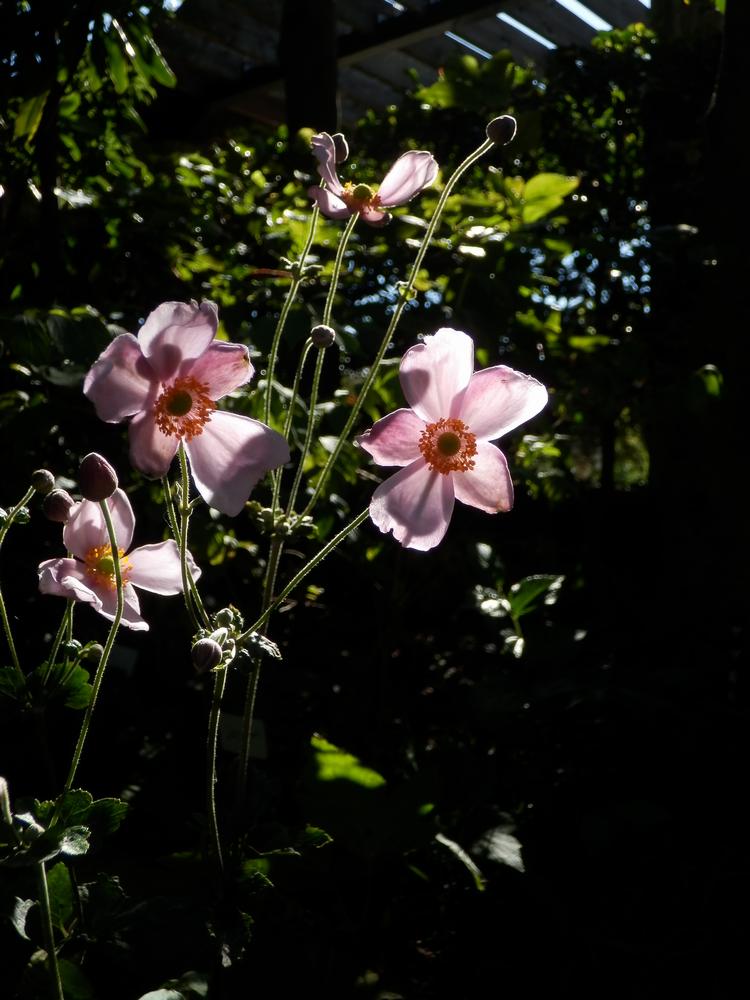 c0062511_8441496.jpg