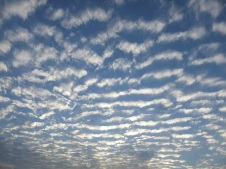 f0068511_0963.jpg