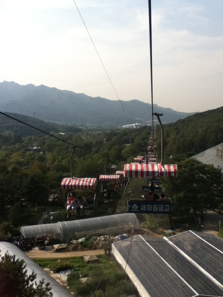 d0259312_137216.jpg