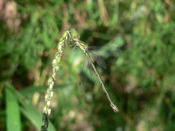 e0002314_20502138.jpg