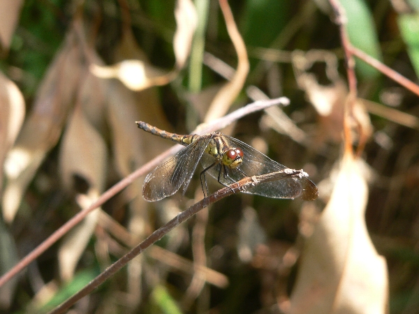 e0002314_20512252.jpg