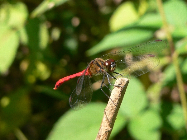 e0002314_2051426.jpg