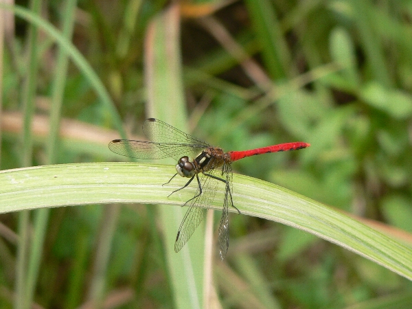 e0002314_20522834.jpg