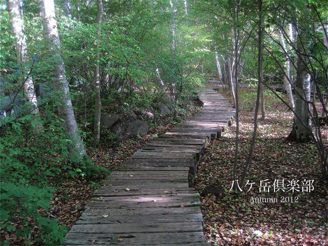 c0199728_05317100.jpg