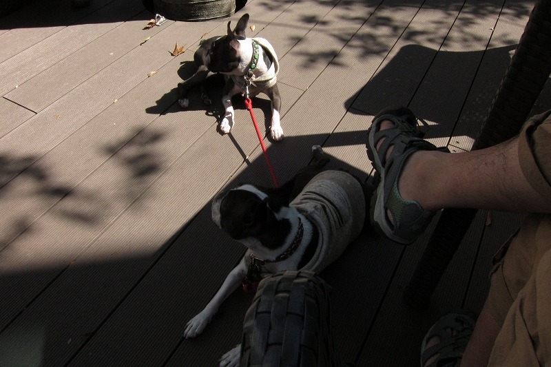 c0209932_2152676.jpg