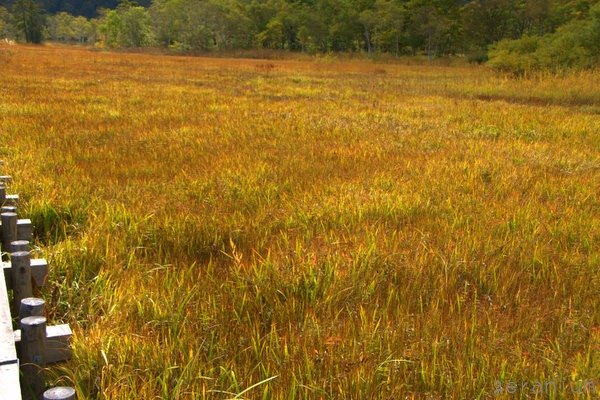 c0133533_1543945.jpg