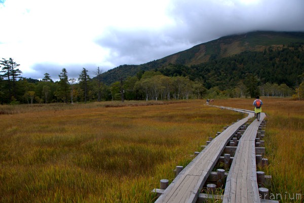 c0133533_157316.jpg