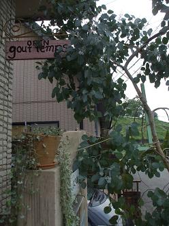 c0192234_20395143.jpg