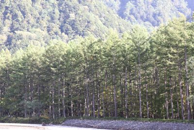 e0054635_2031369.jpg
