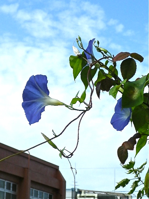 b0027736_14243436.jpg