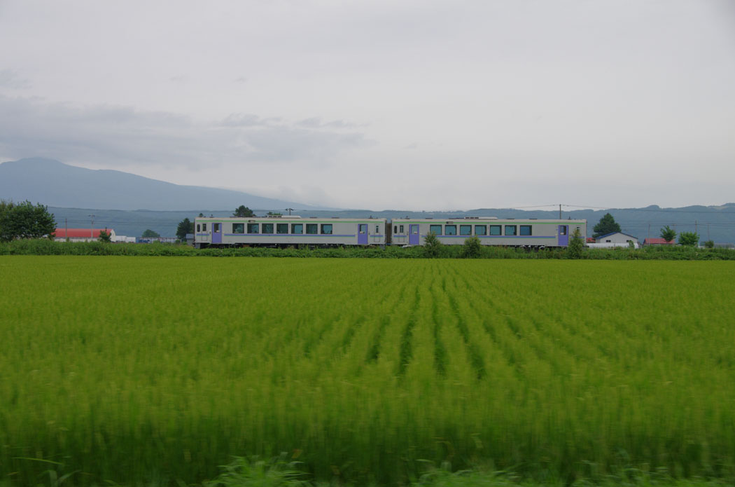 b0247838_8552088.jpg
