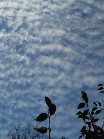 c0068639_17104513.jpg