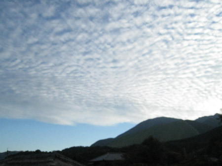 c0068639_17112699.jpg