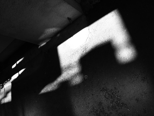 a0087341_228770.jpg