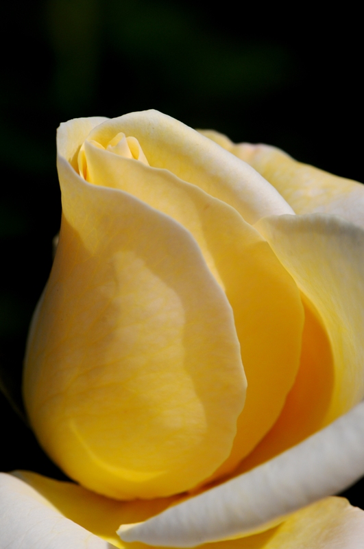 e0095142_10103747.jpg