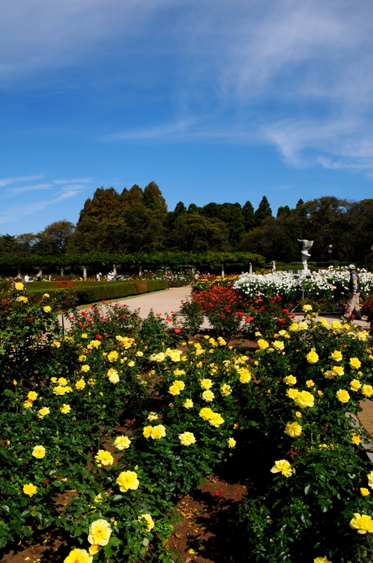 e0095142_1072236.jpg