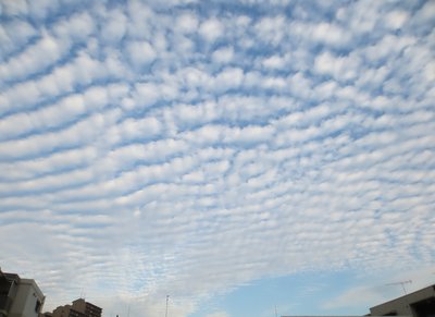 a0142343_1272493.jpg