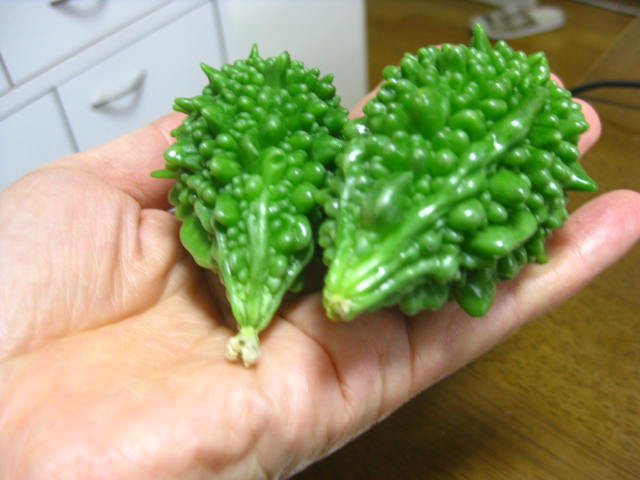 b0123044_23561180.jpg