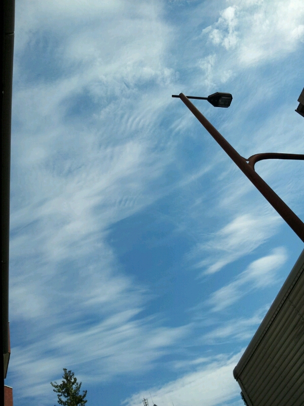 c0189747_12281567.jpg