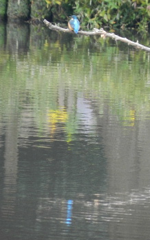 e0172950_21222389.jpg