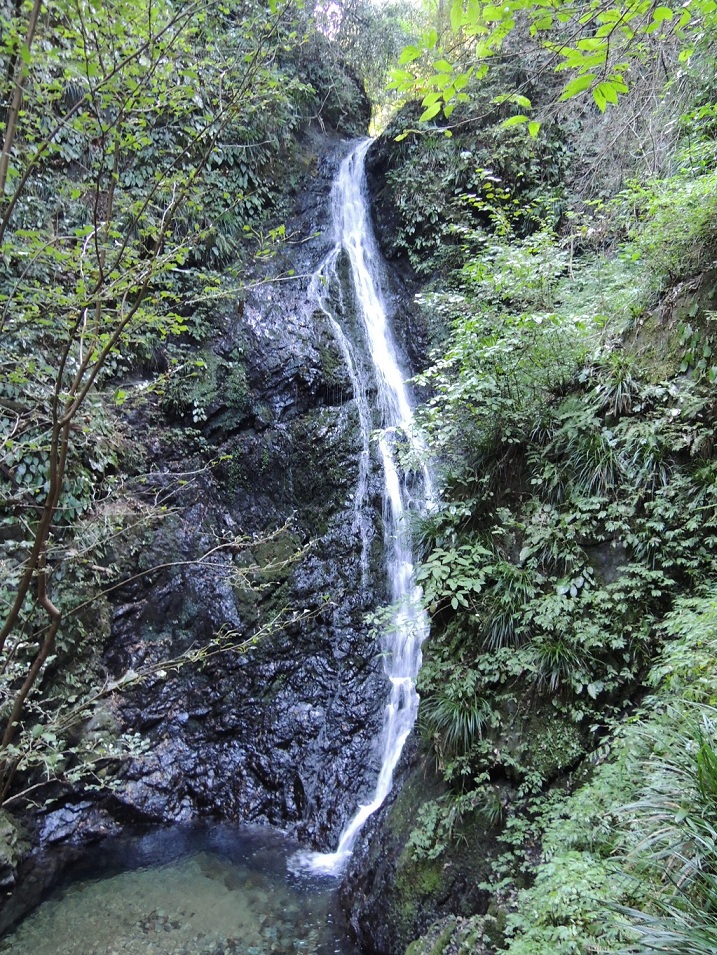 a0286351_1324665.jpg