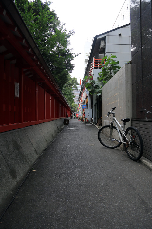 b0049152_17544535.jpg