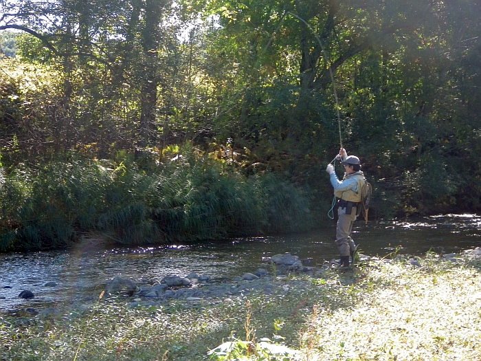 c0060452_23313479.jpg