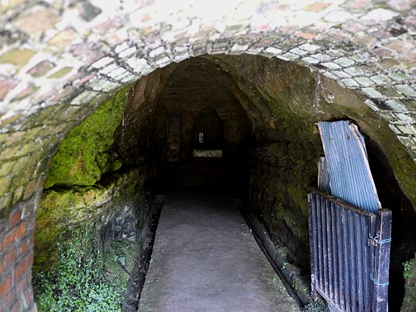 d0091754_295127.jpg
