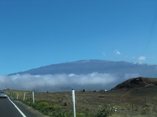 e0033156_15172114.jpg