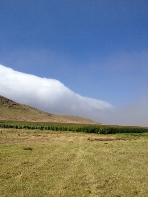 e0033156_154393.jpg