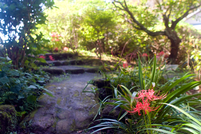 f0176458_1315287.jpg